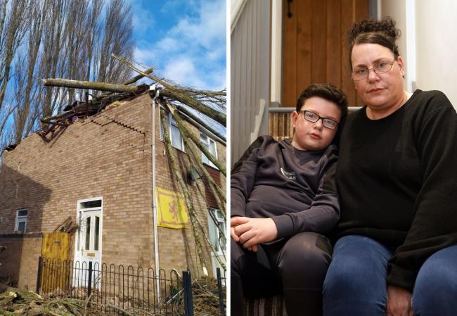Michelle Duque and her eight-year-old son Adam Hamilton escaped uninjured when a tree fell on their home. Picture: Rob Davies
