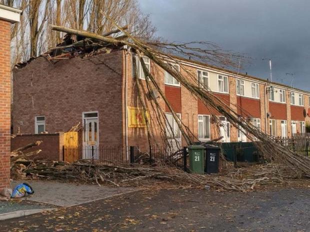Hereford Times: The devastation at Michelle Duque's home in Leominster which was damaged when a tree fell during Storm Arwen 