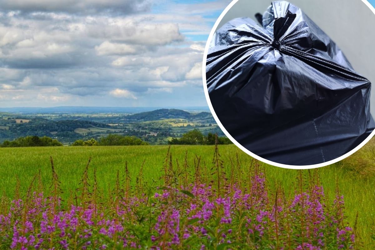 Fly-tipping business dumped rubbish in Herefordshire beauty spot - Vimarsana News