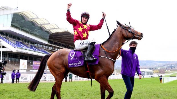 Hereford Times: Minella Indo won the Cheltenham Gold Cup in 2021. (PA)