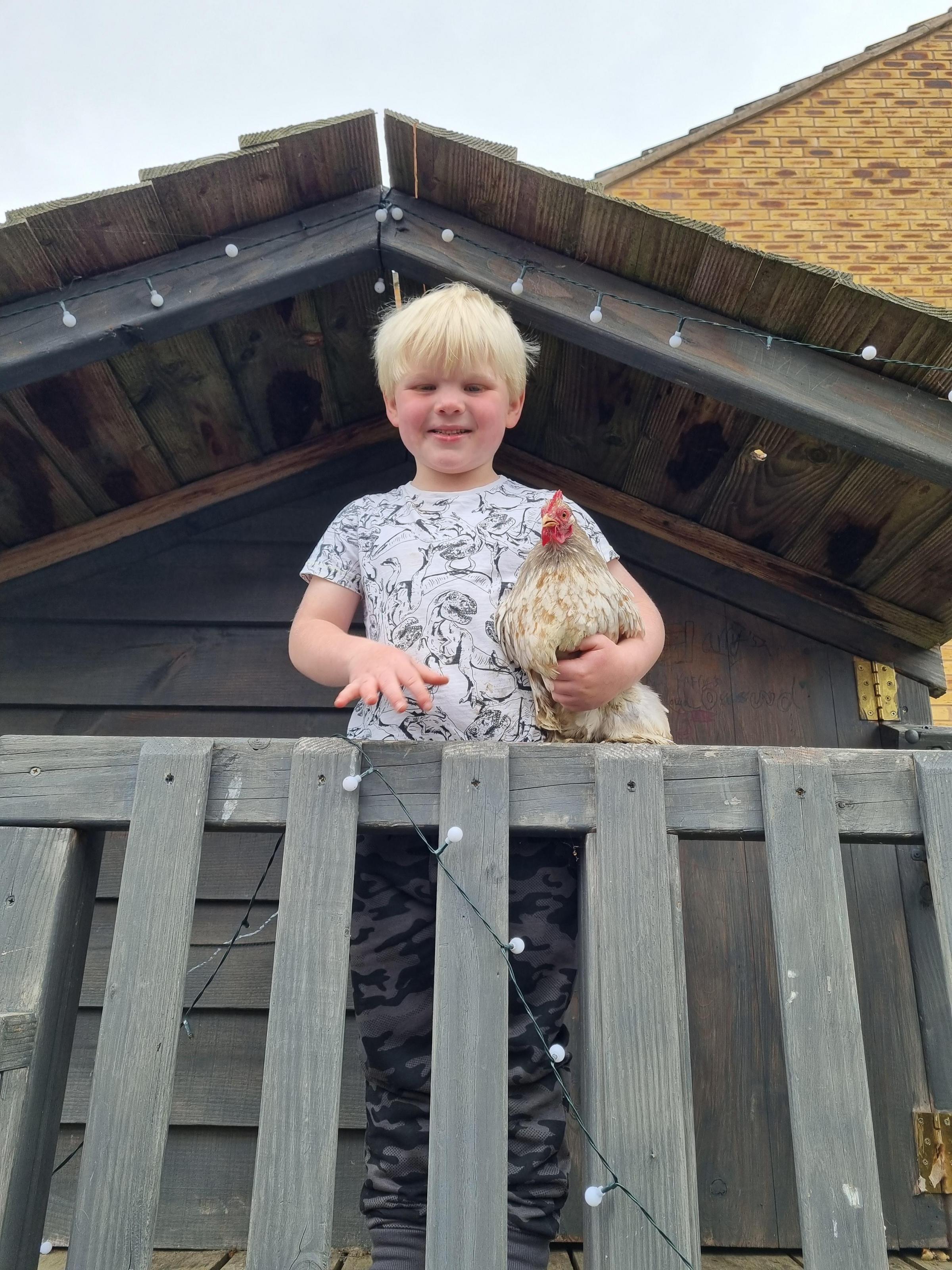 Hereford Times: Just a boy and his chicken!