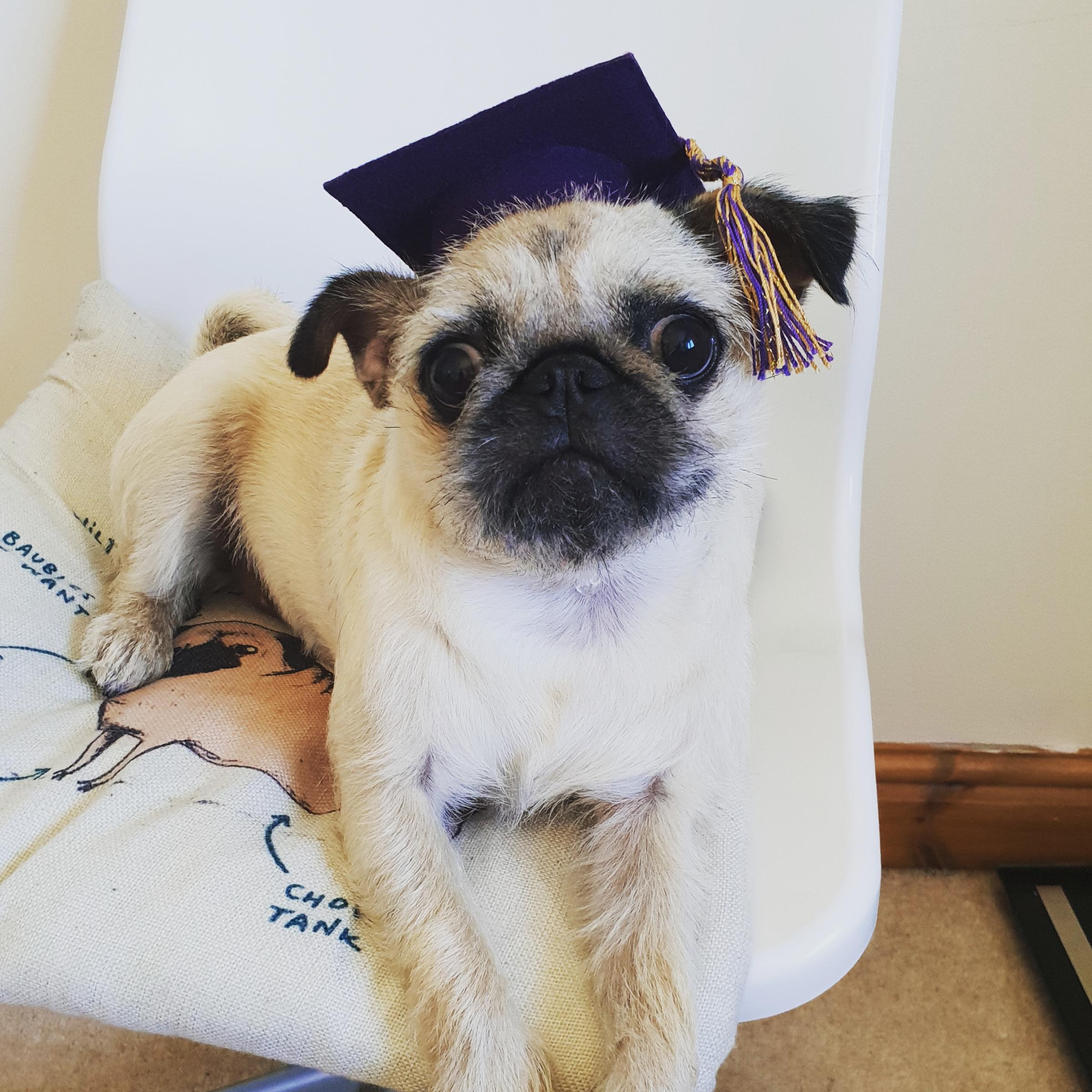 Hereford Times: Skye in her graduation cap ready for the big event.