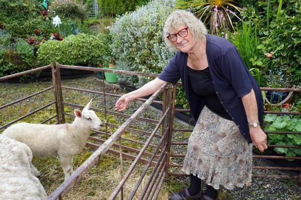 Hereford Times: Doreen Mills pictured with Pink Ears, the two-month-old lamb who readers picked as the winner of the Hereford Times Cutest Pets competition 2022. Picture: Rob Davies