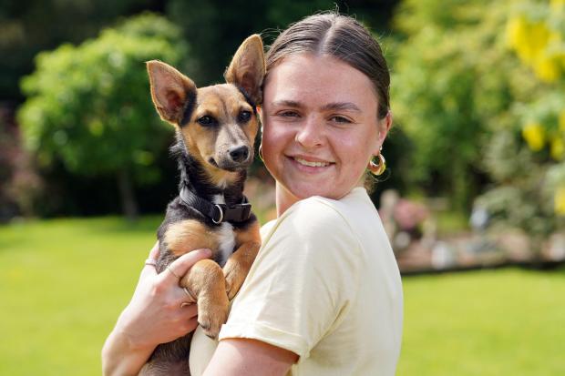 Hereford Times: Sophie Powell with her Jack Russell puppy Benji, who has been revealed as one of the runners-up. Picture: Rob Davies