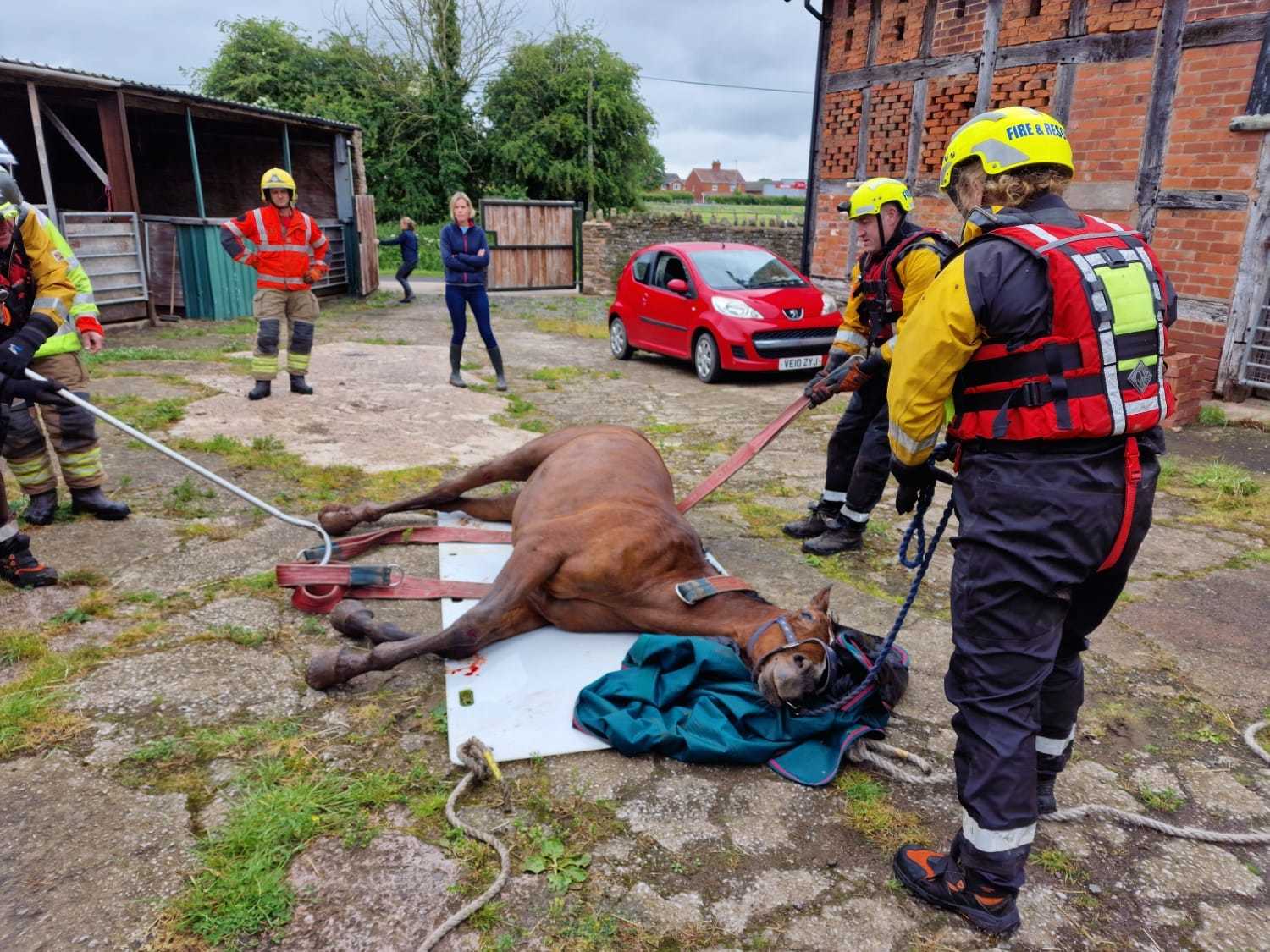 Rio was then put on a board and dragged back towards her stable. Picture: Bromyard fire station