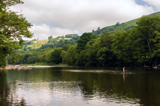 An angler on the upper Wye (picture: Geograph / Greg Fitchett)
