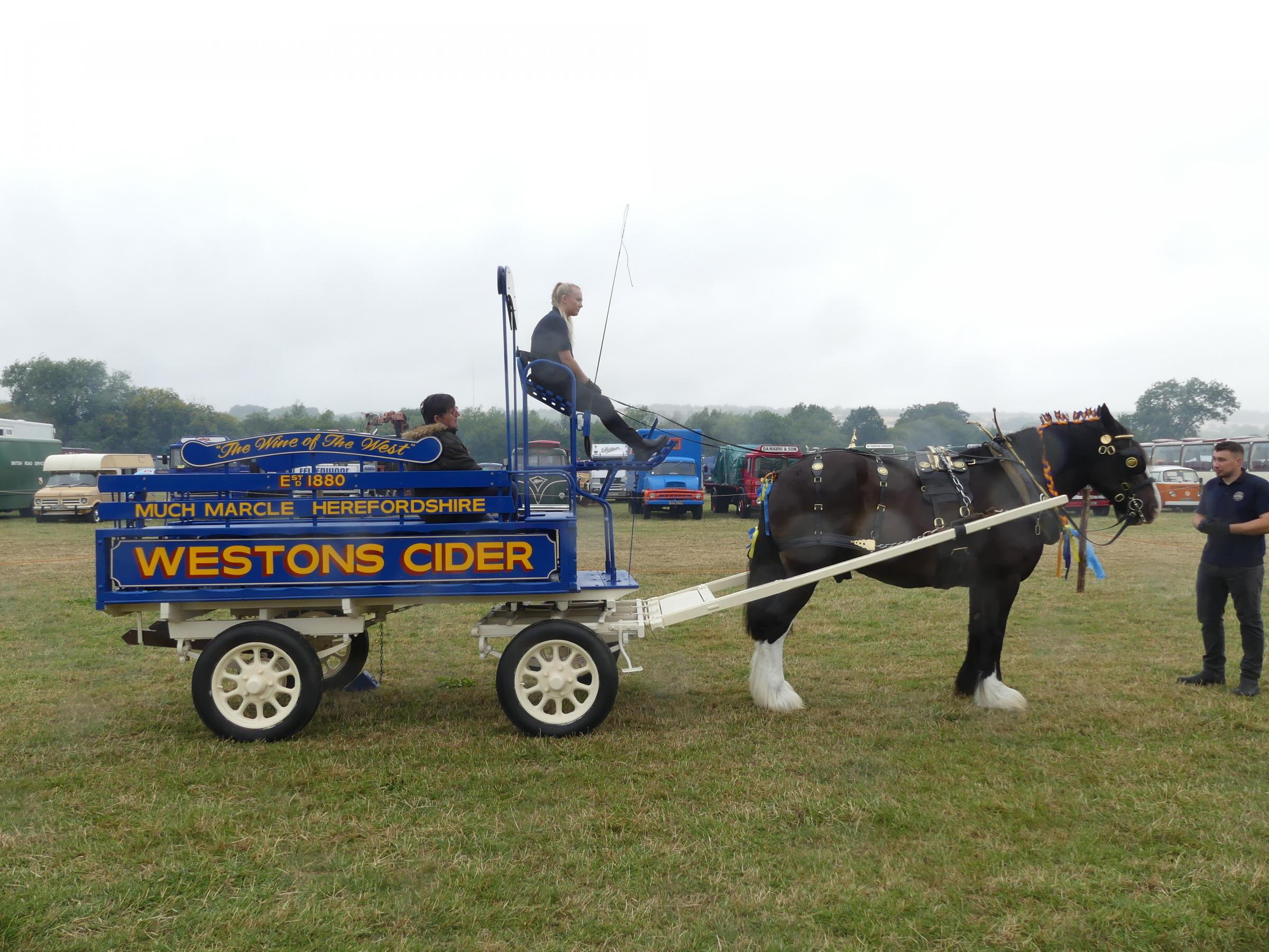 A horse drawn cart at the steam Rally. Picture courtesy of John Batley