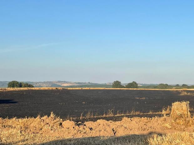 Hereford Times: The crop field was left black after the fire Picture: Kingsland fire station