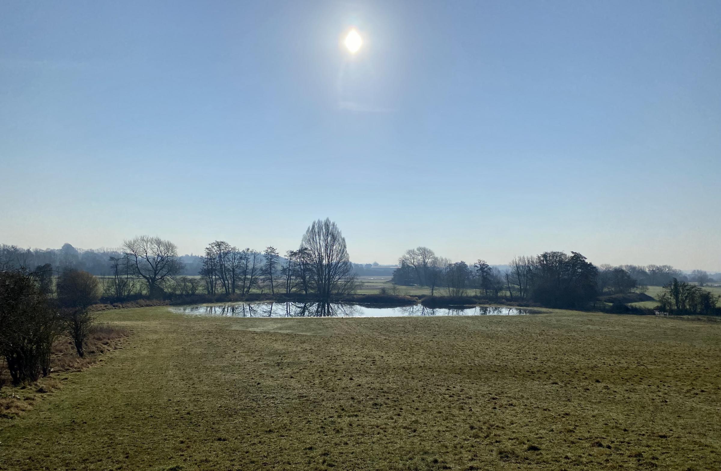Seasonal ponds formed from the flooding of the river Lugg at Oak Tree Farm in February 2021. Picture: Susan Grifin/Herefordshire Wildlife Trust