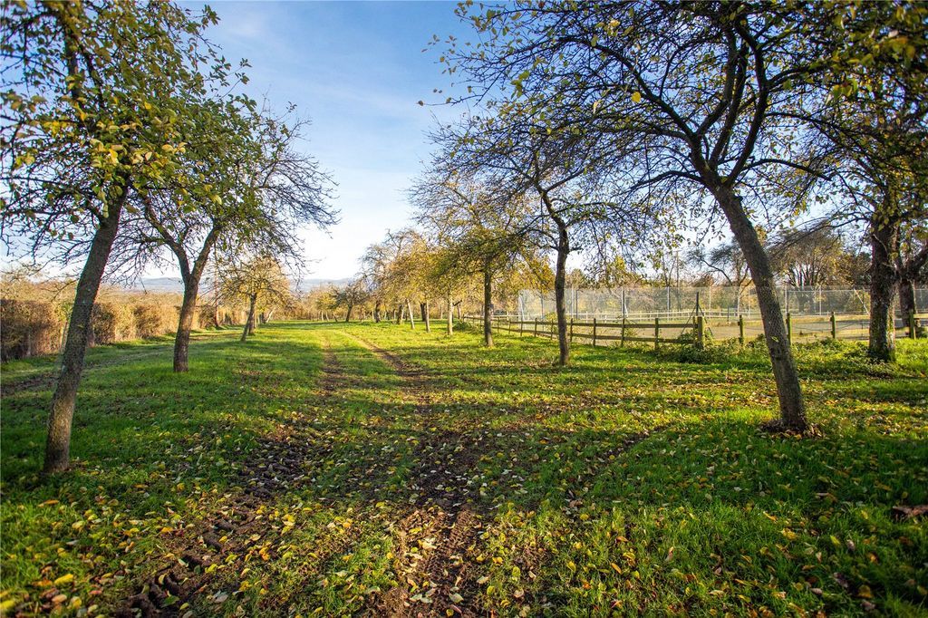 The orchard and tennis court at the home near Ledbury. Picture: Savills/Zoopla