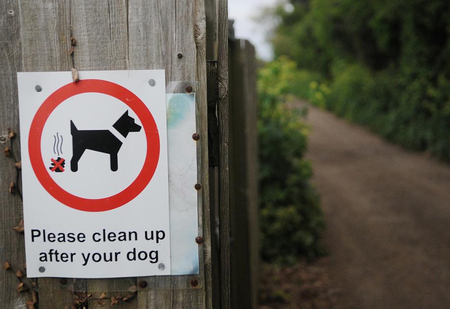 Herefordshire to take on firm to crack down on litter and dog fouling 