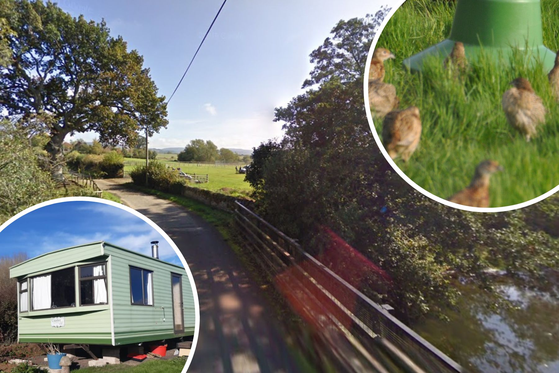 Game bird plan at this sensitive Herefordshire spot refused - Vimarsana News