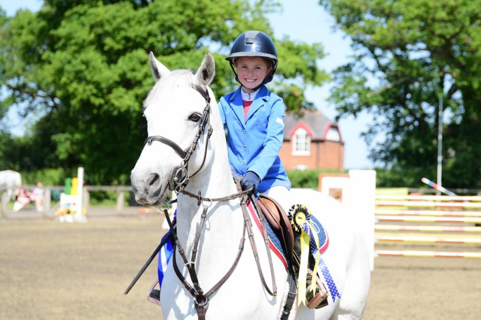 Hereford youngster preparing for Horse of the Year Show