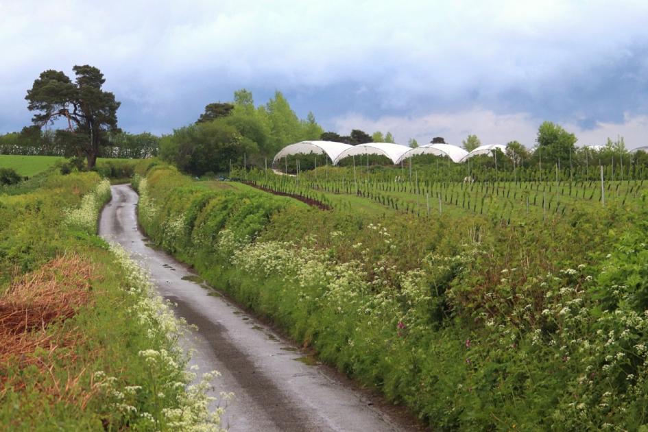 New Herefordshire polytunnels and caravans plan rejected | Hereford Times 
