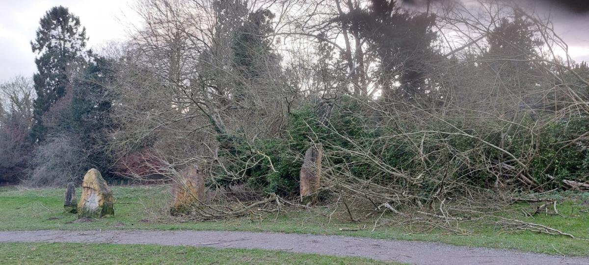 Storm Pia: Fallen trees close roads in Herefordshire | Hereford Times 
