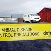 Bird flu confirmed in Herefordshire with huge new control zone now in place