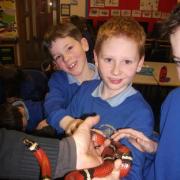 Children from Little Dewchurch Primary School handling a snake