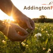 The Addington Fund is this year's chosen charity for the Food and Farming Awards