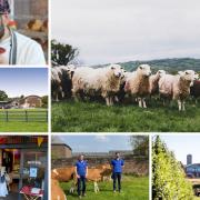 The Food and Farming Awards recognise the success of businesses - from field to fork. Nominations have been received from (clockwise from main pic) Wild by Nature (picture: Wild by Nature llp); Chase Distillery, Josh and Adam Jones of Kelsmor Dairy,