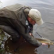 There are concerns over the sustainability of fish in river Wye. Picture: Environment Agency