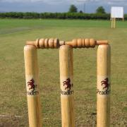 Cricket [stock image]
Source: PIXABAY