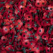 Poppies are a symbol of remembrance, but a Kington woman says none are for sale in the town. Picture: PA Wire