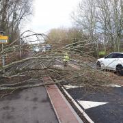 Police in Ross-on-Wye shared a picture of a tree in the road at Three Crosses during Storm Dudley. Picture: West Mercia Police