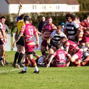 Luctonians celebrate driving over a try during their 13-15 home defeat to Sedgley Park. Picture: Andrew Hargreaves
