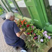 Hereford Business Improvement District (BID) planted 100s of hanging baskets and planters
