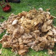 Welsh Water says Hereford is one of the worst areas for blocked sewers, often caused by fatbergs or wet wipes, such as this one in Blaenavon, South Wales. Picture: Welsh Water