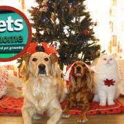 Pets at Home reveals Christmas opening hours change for shoppers (Canva/PA)
