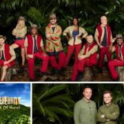 I'm a Celebrity...Get Me Out of Here! is back for its 20th anniversary ( ITV)