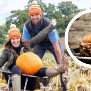 Ed Godsall and his partner Hannah Graham at their pumpkin patch near Ledbury