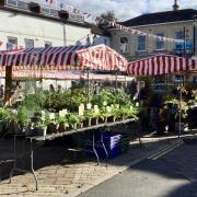 The fair will have a range of plant and craft stalls