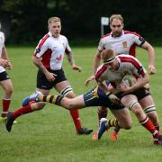 Try scorer Ollie Hutcheson pictured during a previous match