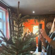 Vicky Faye adding a message to the Valentine's love tree at the Oak Inn
