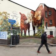 The Herdsman has welcomed a special guest after receiving a new look with a mural