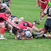 Seb Robinson scored Luctonians’ only try against Clifton
