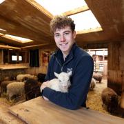 Lewis Jones, with new-born lamb, Emily at Small Breeds Farm Park