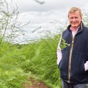 James Hawkins of Freshfields, which is celebrating 10 years of supplying asparagus to Aldi