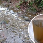The polluted Holywell Dingle, and a sample of its water