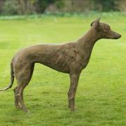 A bronze statue worth around £12,000 has been stolen near Ledbury