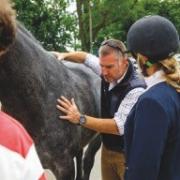 Tim Bradford is one of the country's leading vet physios