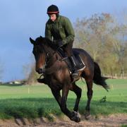Racehorse trainer Tom Lacey at Cottage Field Stables near Woolhope. Training on sand gallops..