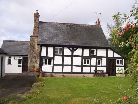Well Presented Half Timbered Cottage At Chapel Cottage Lucton