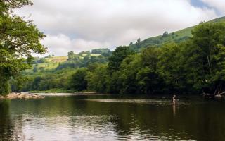 An angler on the upper Wye
