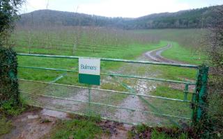Bulmers' orchards in Westhope have been targeted by criminals. Picture: Jonathan Billinger