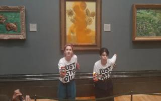 WATCH: Just Stop Oil protester throw tomato soup over Van Gogh's Sunflower painting