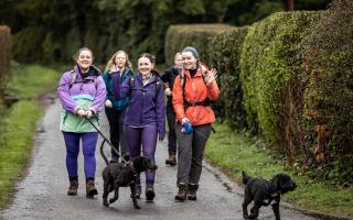 Walkers taking part in the St Michael's Hospice Big Spring Walk