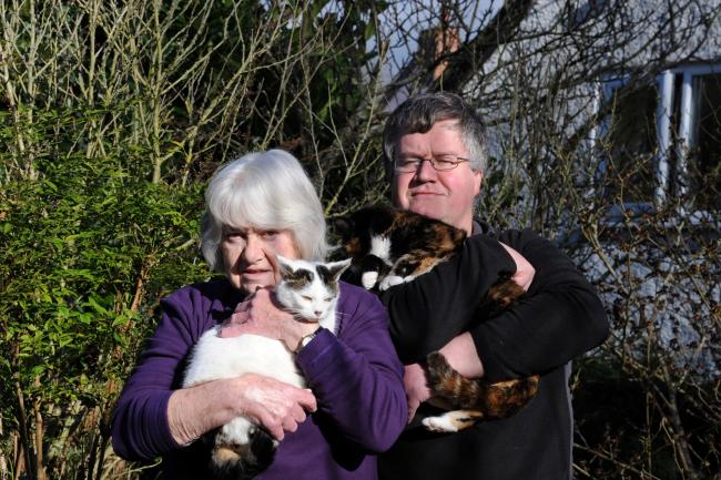 Janet Clarke with cat Hattie and David Clarke with cat Tigger.